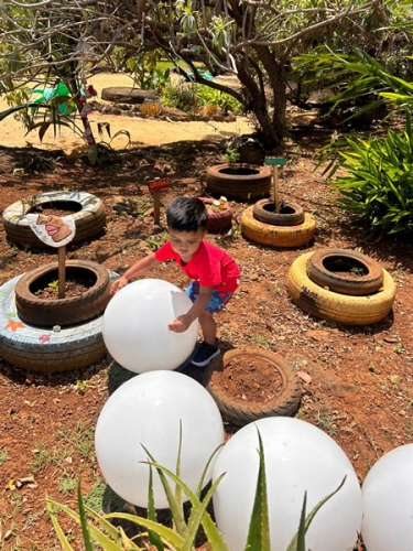 jardin deveil 20241118-WA0010